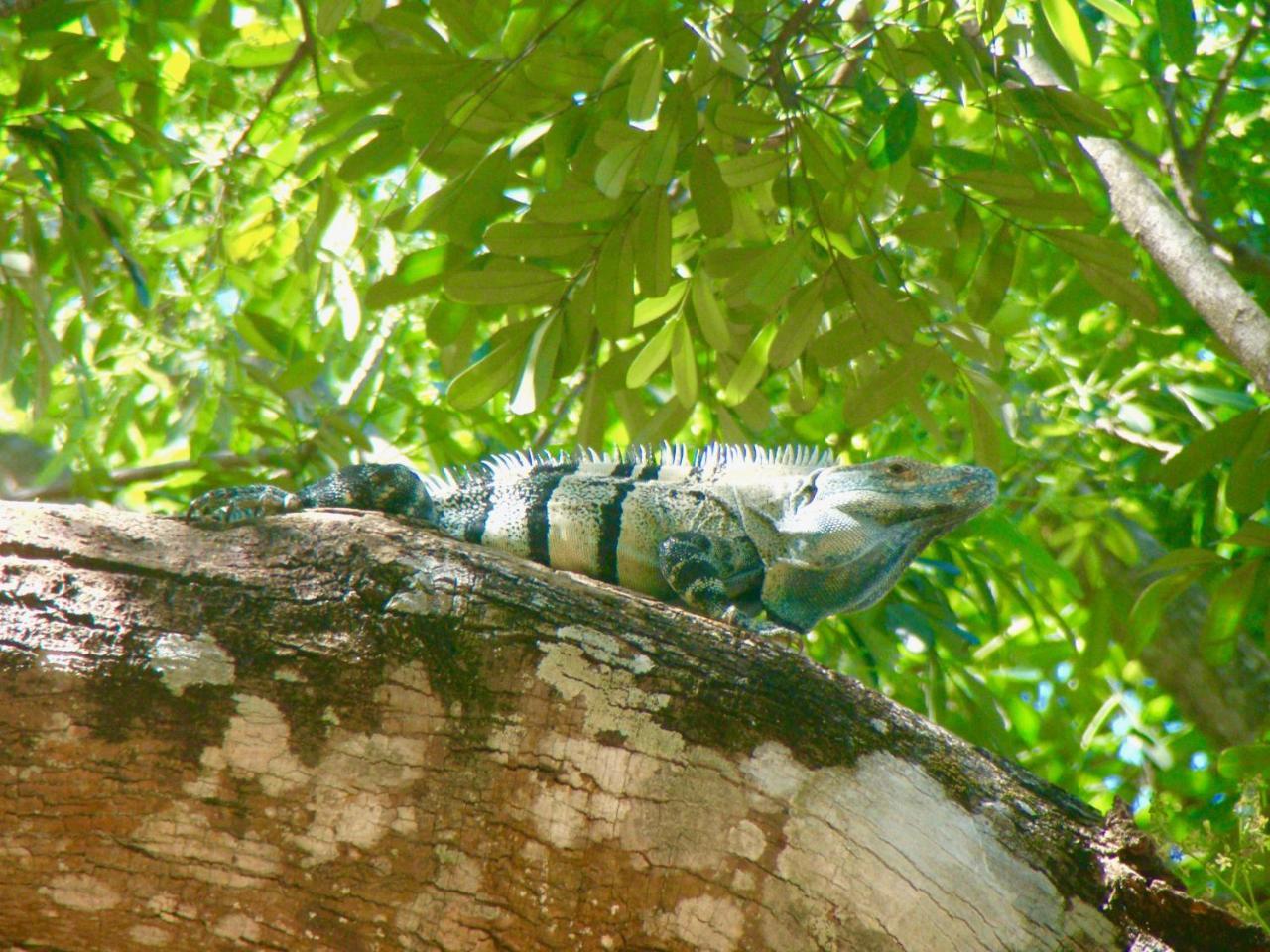 Hotel El Manglar Плайя-Гранде Экстерьер фото